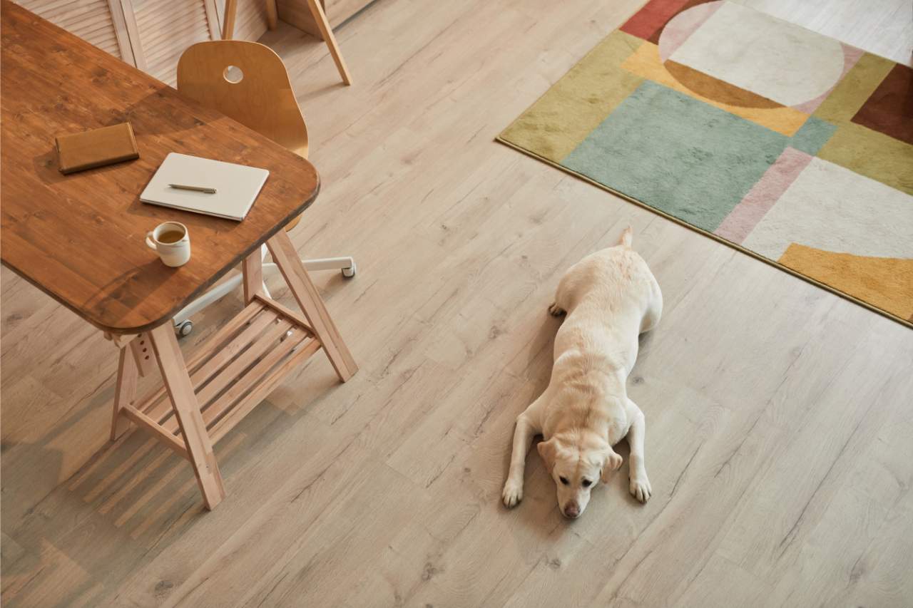 Qué suelo instalar en una casa con mascotas