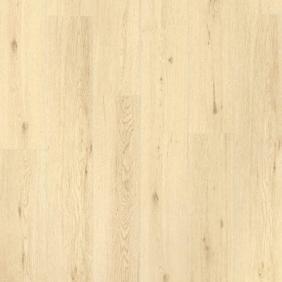Laminado XL 2584